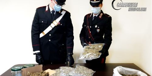 droga taurianova droga taurianova droga taurianova droga taurianova droga taurianova droga taurianova