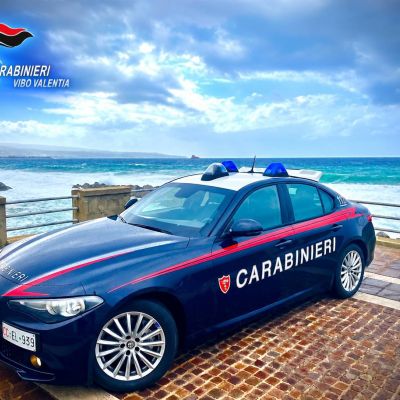 Carabinieri in azione nel Vibonese contro droga e truffe: 6 arresti e 11 denunce