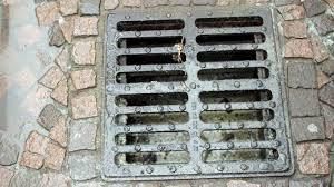 Getta un cane in un tombino, denunciato