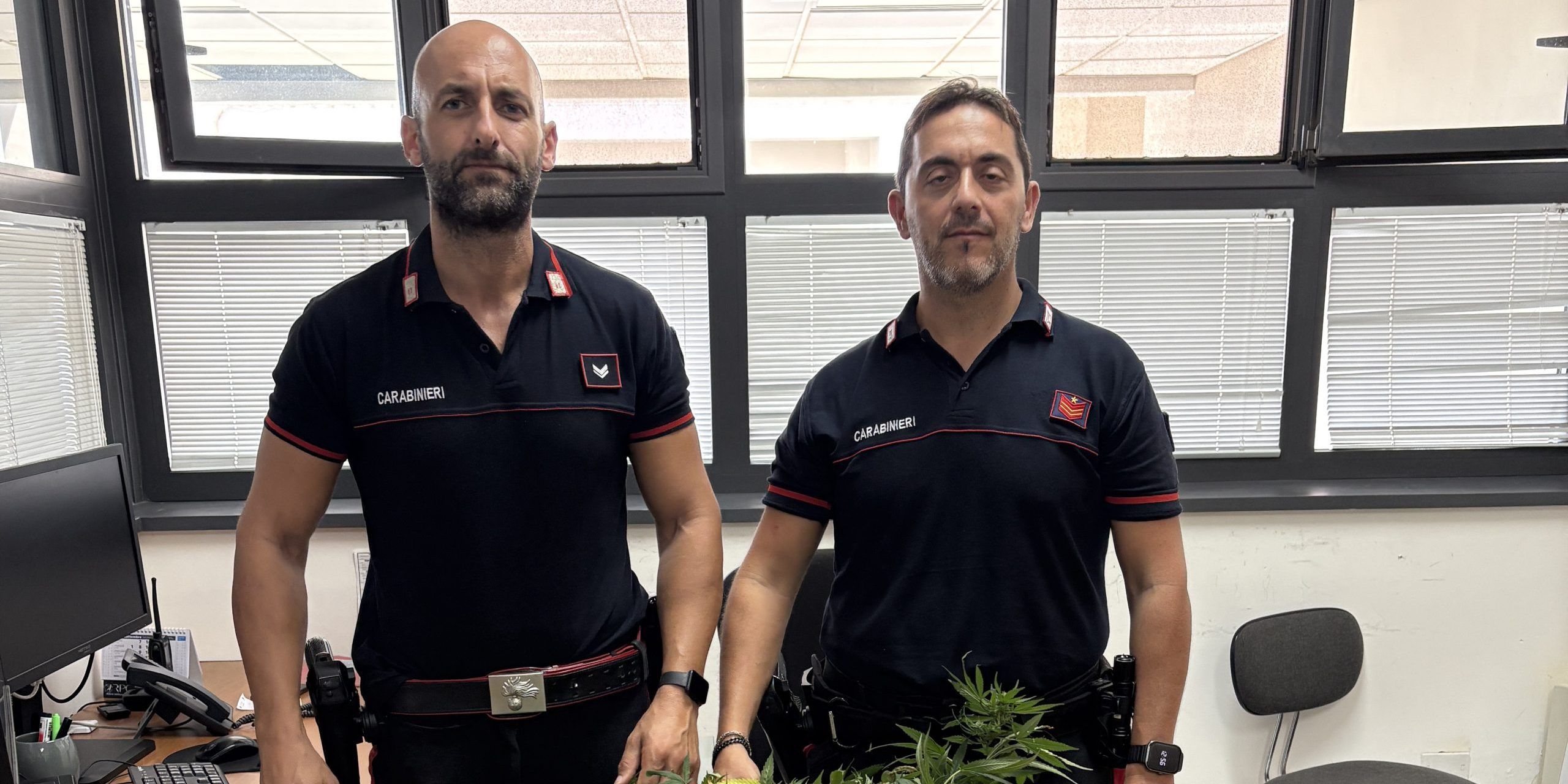 Coltivava canapa indiana in giardino, denunciato un cinquantenne – VIDEO