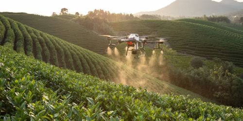 intelligenza-artificiale-agricoltura