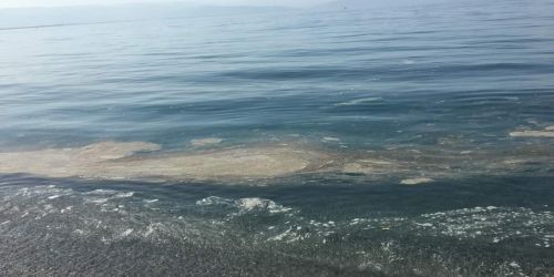 Mare sporco, a Gizzeria tornano le "solite" chiazze marroni