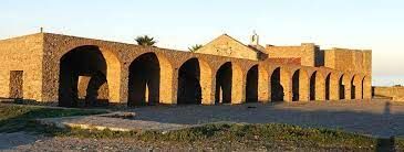 Cucumis citrullus Rosso saraceno