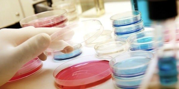 Prese la leucemia per colpa del lavoro, risarcito