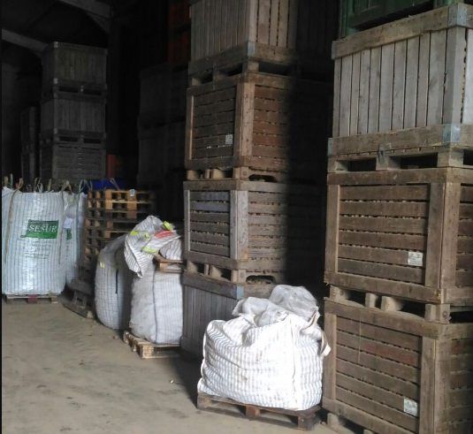 Cosenza, sequestrati 1000 quintali di patate importate