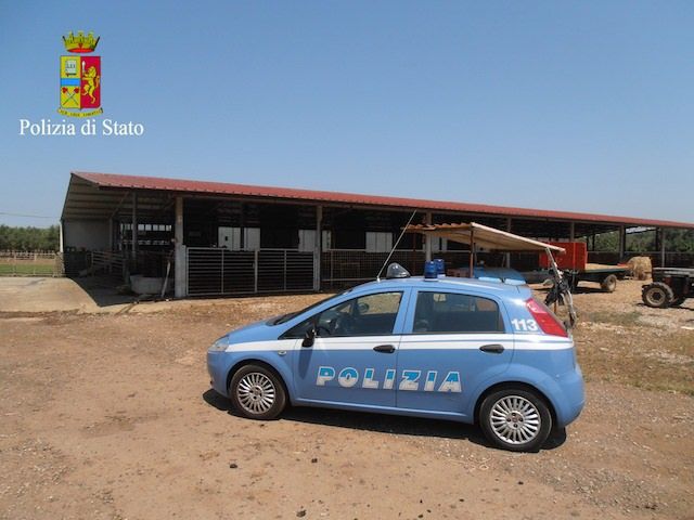 Colpo al patrimonio dei Crea