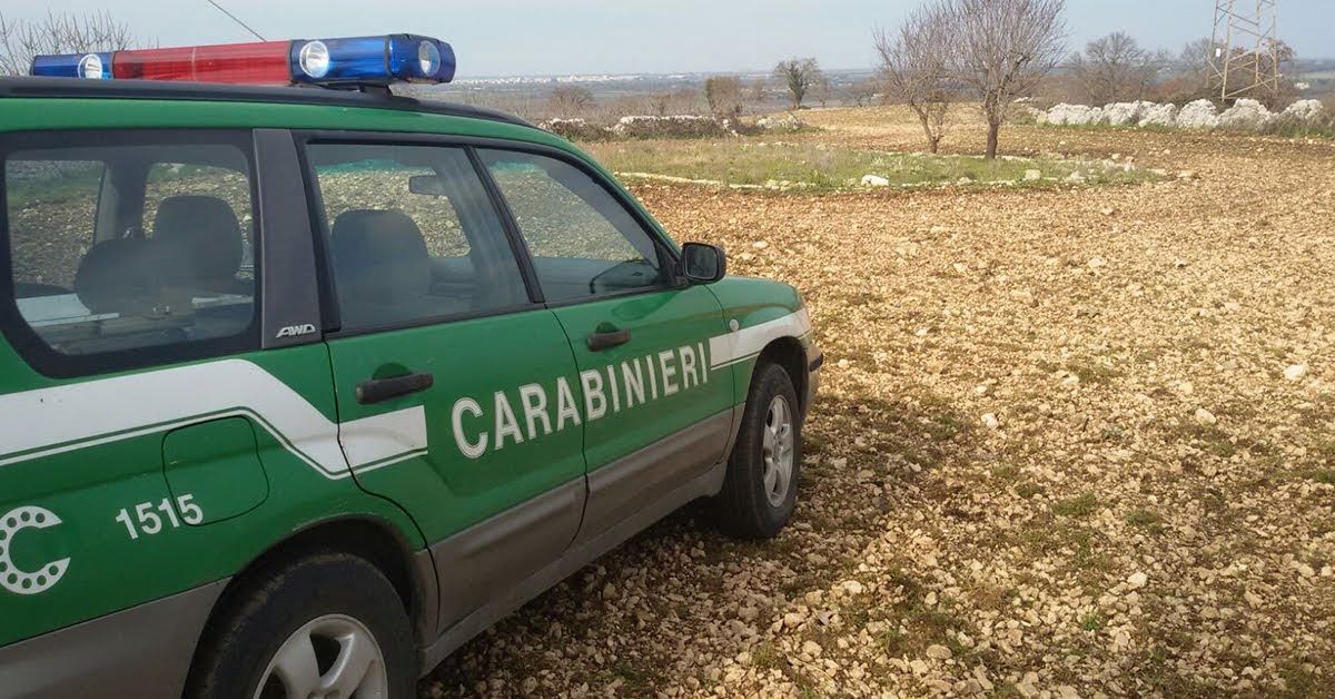 Caccia abusiva nel Crotonese, denunciato 56enne