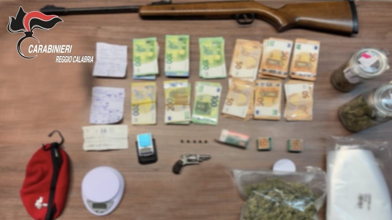 Siderno, scatta l’arresto: in casa un revolver, 250 grammi di marijuana e otto tartarughe – VIDEO