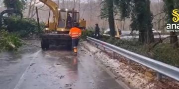 Maltempo in Calabria, Anas: uomini e mezzi impegnati sulle statali colpite – VIDEO
