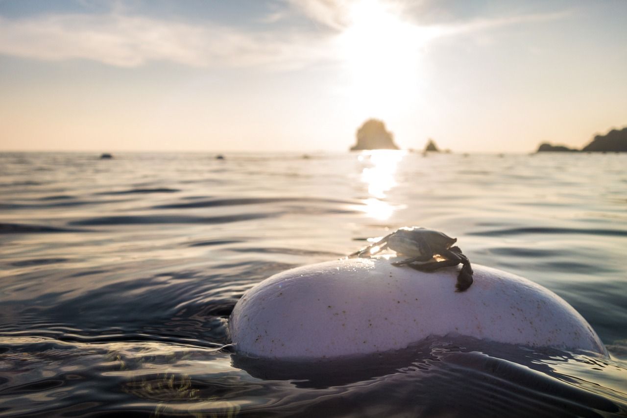 Startup calabrese lancia “Boa”, consentirà ai non vedenti di nuotare in mare