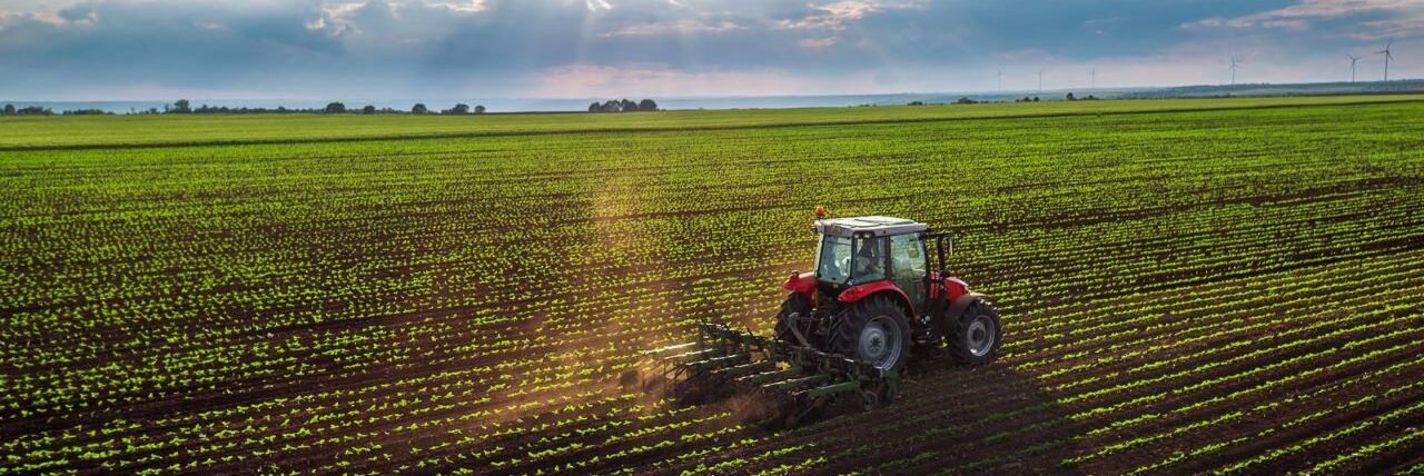 Confagricoltura: «Riconoscere la produzione agricola come bene pubblico»