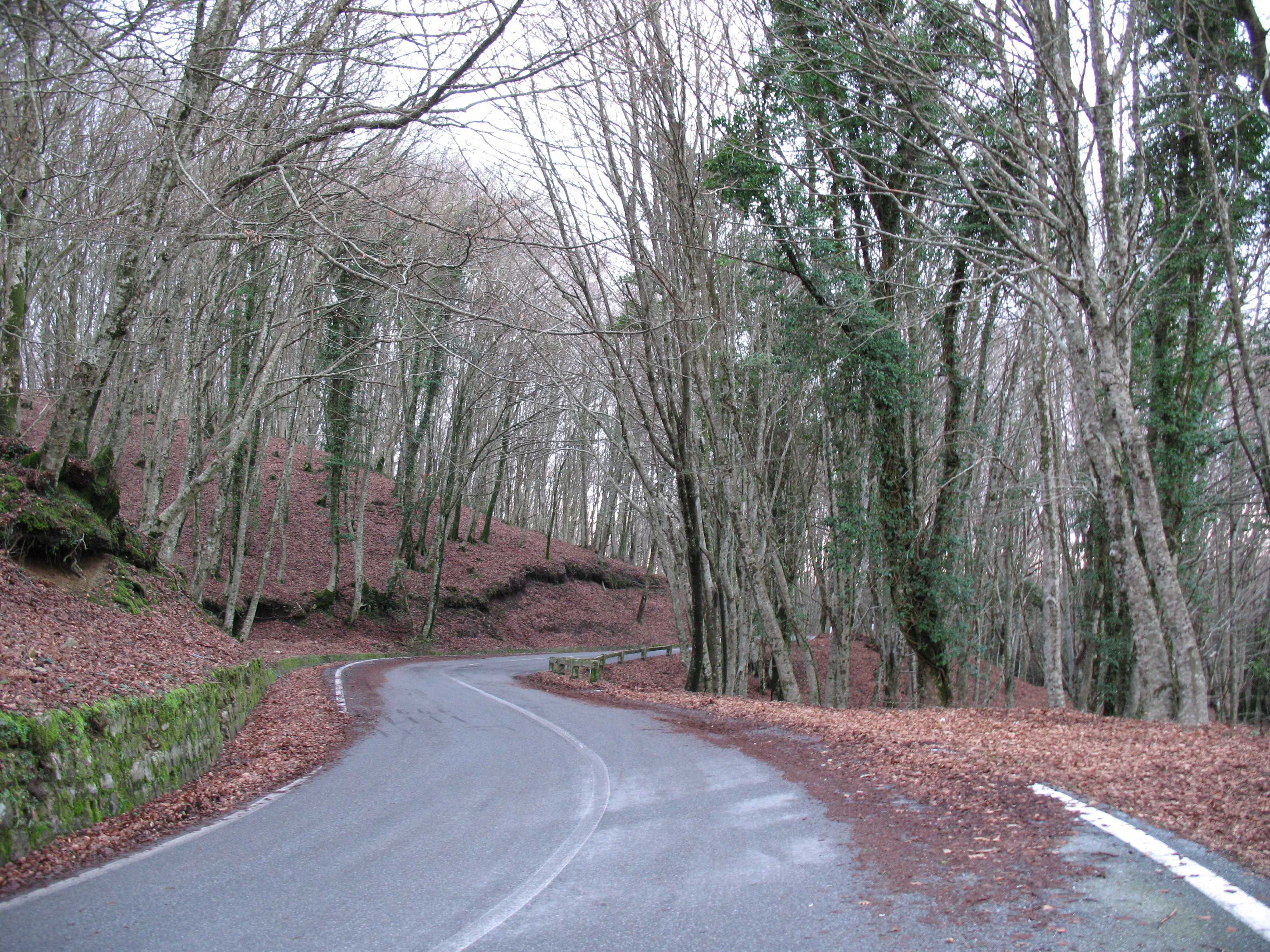 Con l'auto in un burrone di 120 metri, muore 86enne