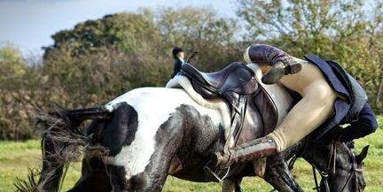 Cade rovinosamente da cavallo nel Vibonese, 61enne in prognosi riservata