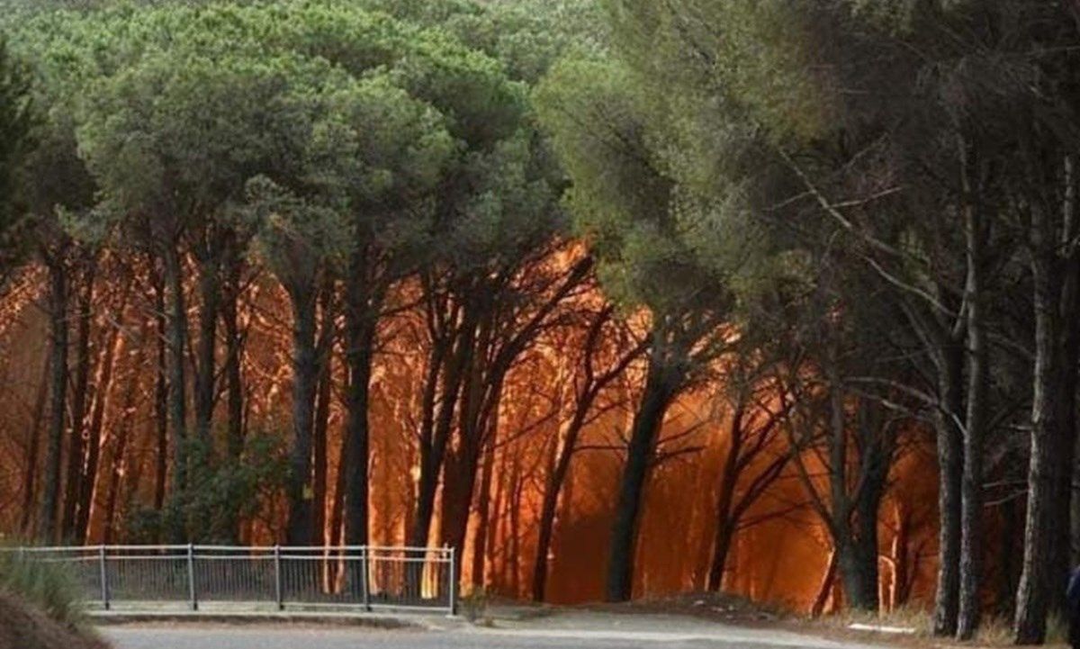 Incendi, via libera allo stato d’emergenza anche per la Calabria