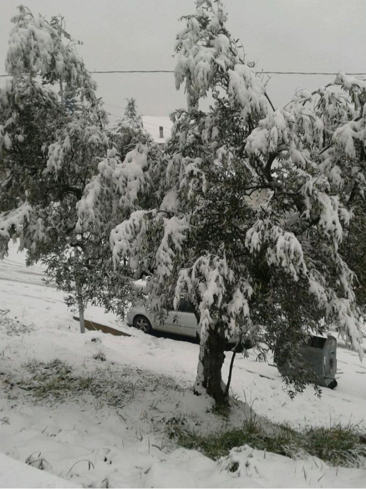 Emergenza neve, la Protezione civile calabrese è attivata