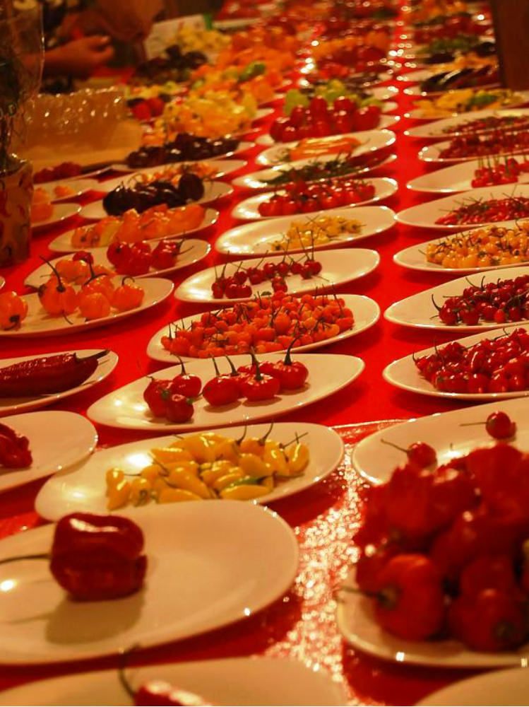 Turisti giapponesi a Diamante per “studiare” il peperoncino