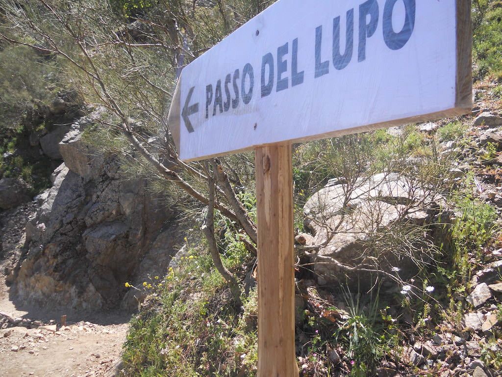 «I ponti distrutti che portavano ad Africo»