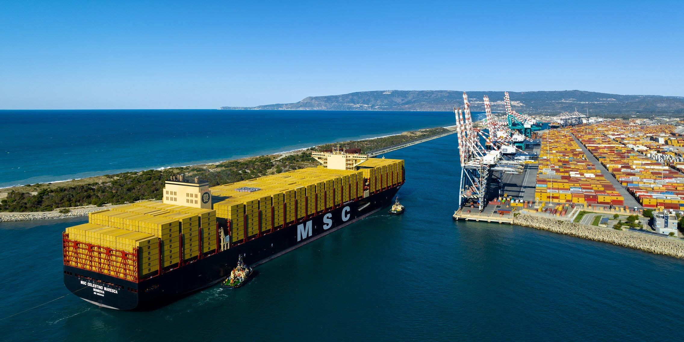 Msc Celestino Maresca, a Gioia Tauro la cerimonia di battesimo della nave dei record – VIDEO