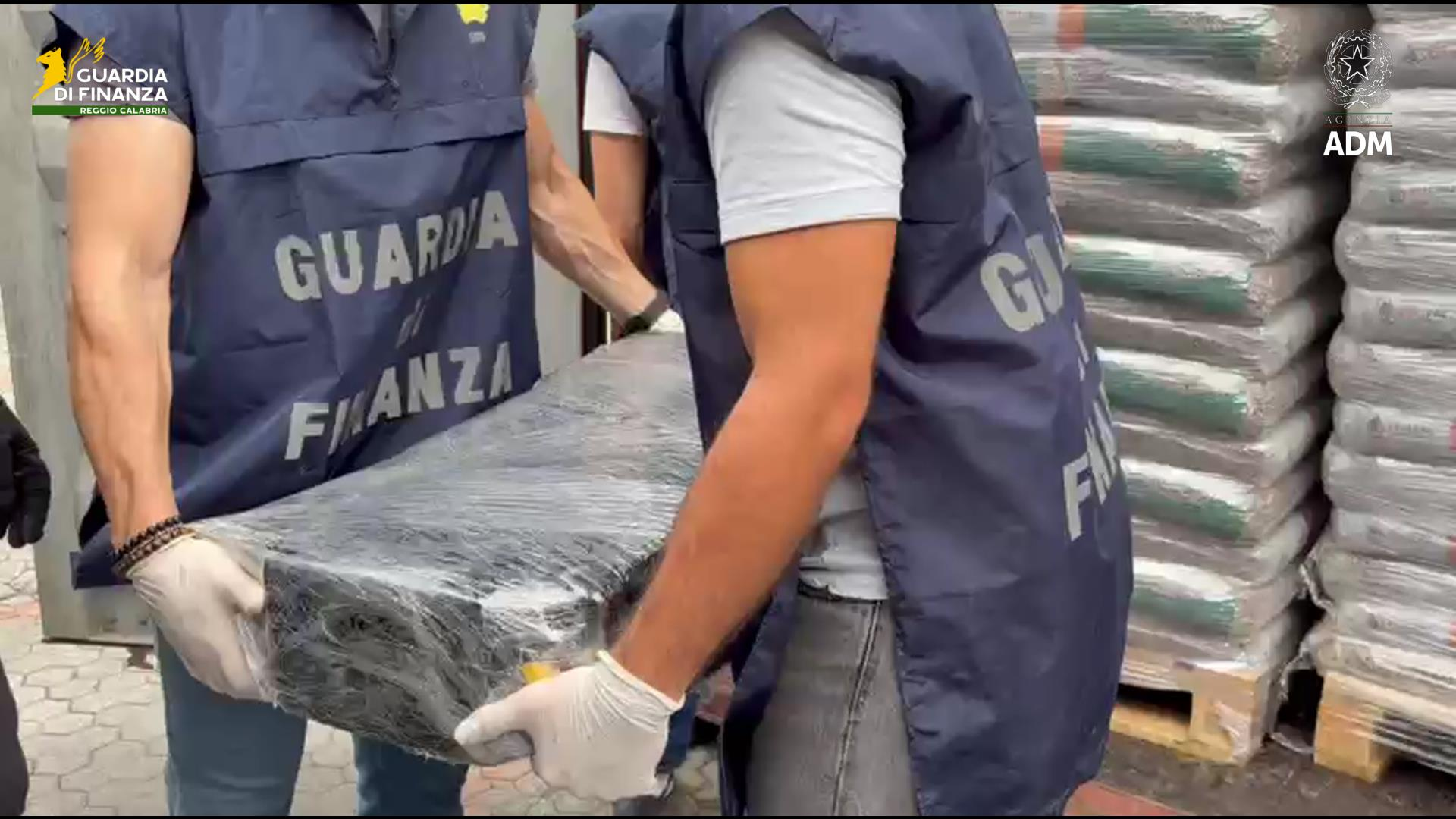 Cocaina dal Sud America nel container di pellet, a Gioia Tauro sequestrato un carico da 20 milioni – VIDEO