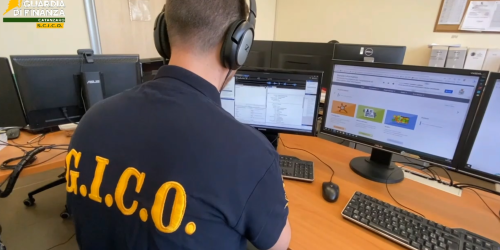 ’Ndrangheta, aste e affari per favorire esponenti di Melicucco e Tropea: 5 arresti e sequestri per oltre 35 milioni – VIDEO E NOMI
