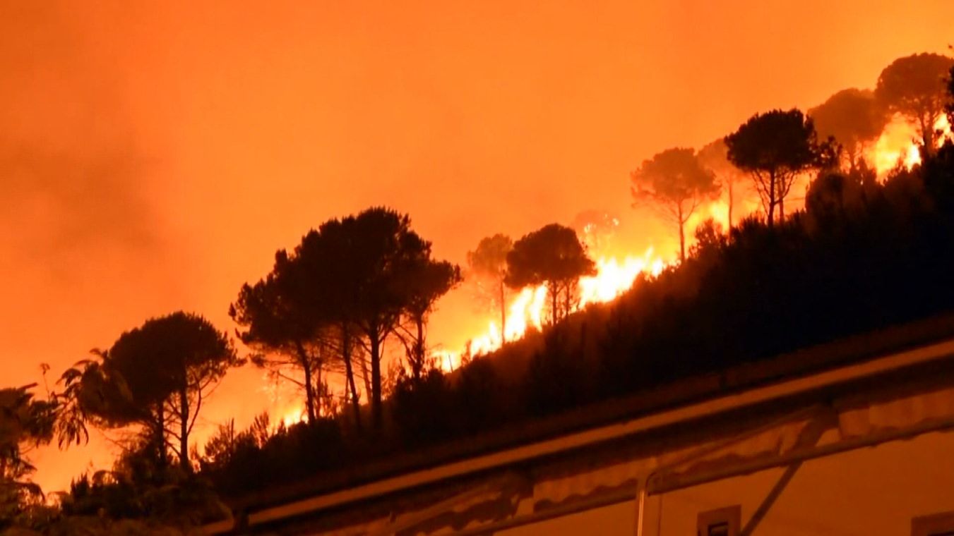 Incendi boschivi, l'impegno costante di Calabria Verde – VIDEO