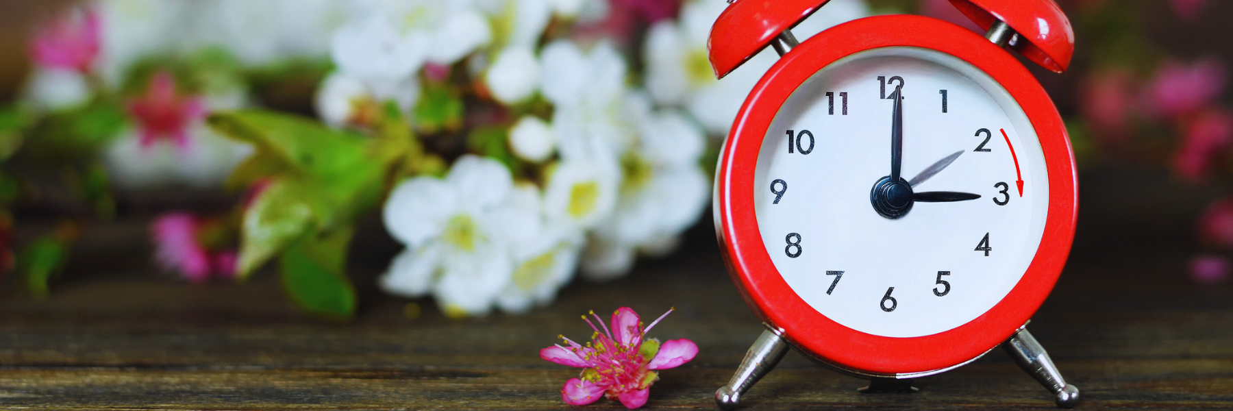 Stanotte torna l’ora legale. Terna: risparmi per 100 milioni