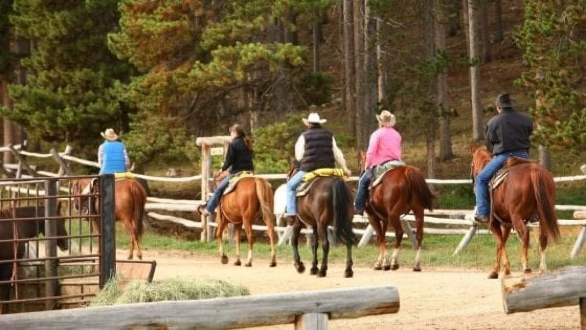 Maxi sequestro per uno storico boss lombardo: tra i beni anche un ranch