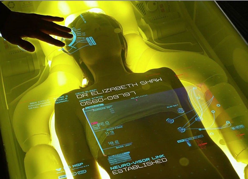 Il calabrese che sfrutta il business dell'ibernazione