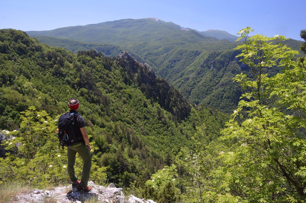 «Fermate le stelle, non producono dividendi»