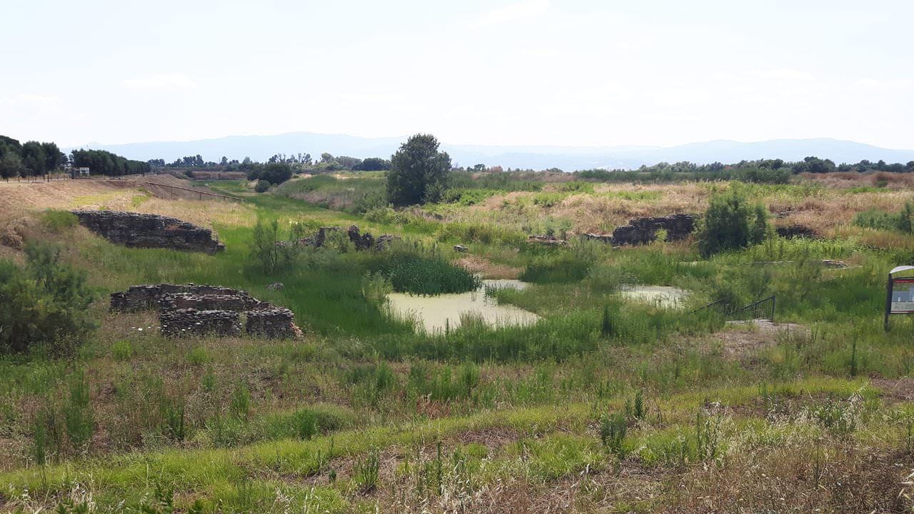 Il parco archeologico di Sibari «sarà ripulito dalle erbacce»