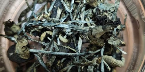 funghetti-allucinogeni