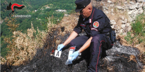 incendio mesoraca petronà