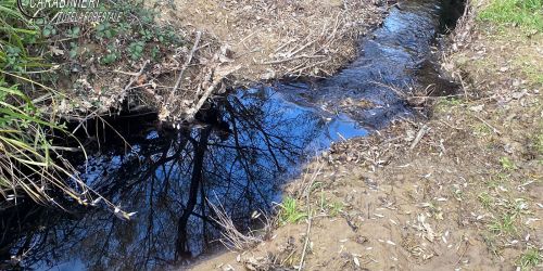 sversamento_reflui_oleari_frantoio_montalto