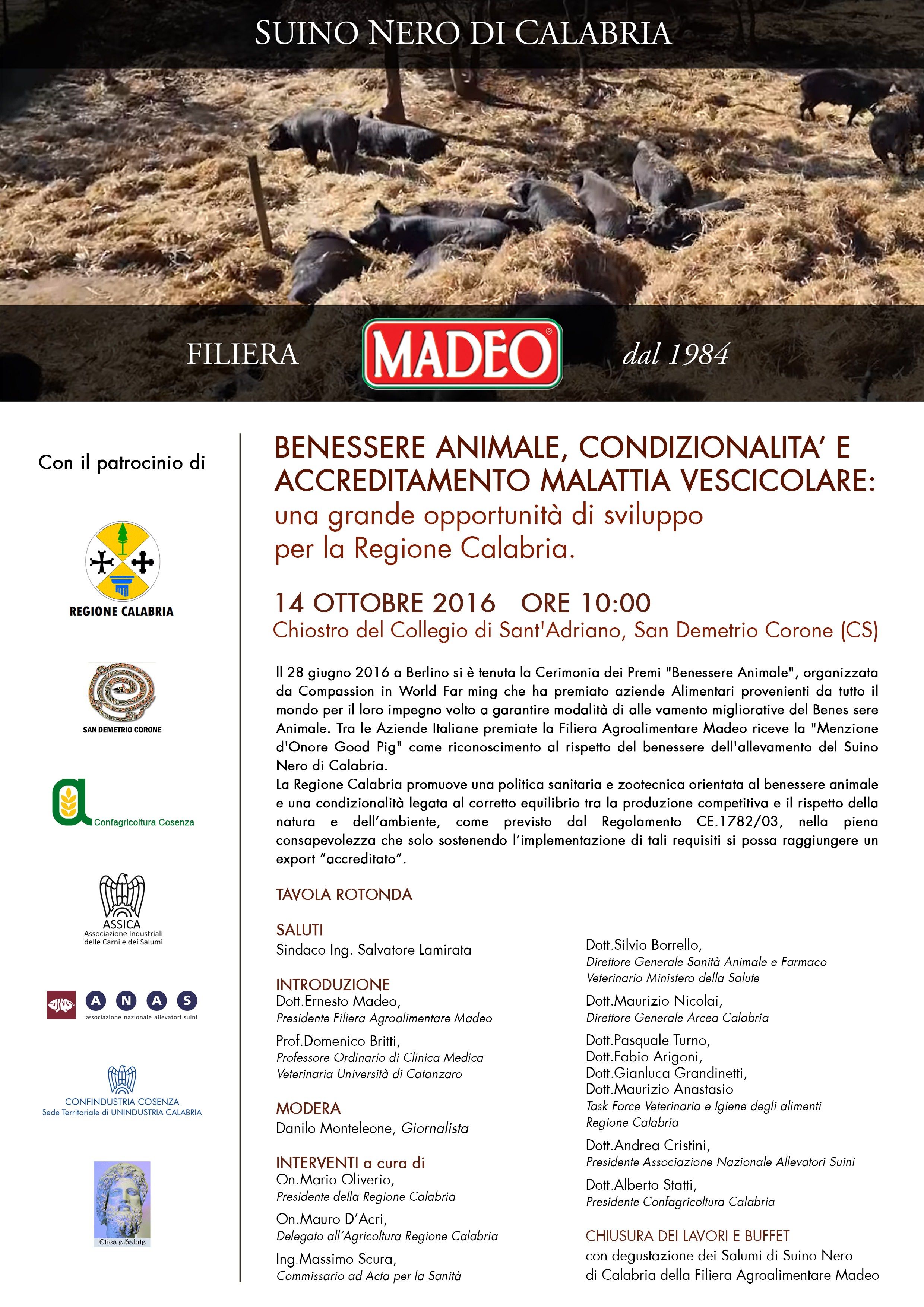 San Demetrio, dibattito sul benessere animale