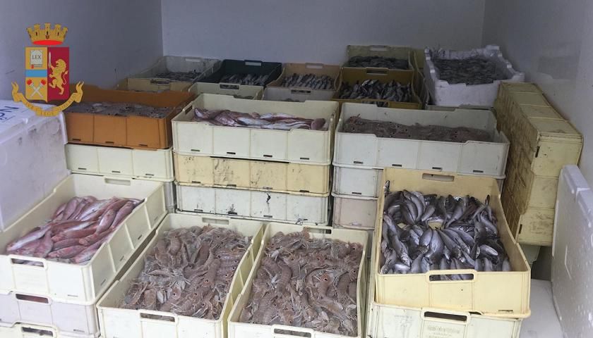 Il monopolio dei Molè nel settore ittico. «A Gioia nessuno deve avere pesci. Fuori, sono cazzi suoi»