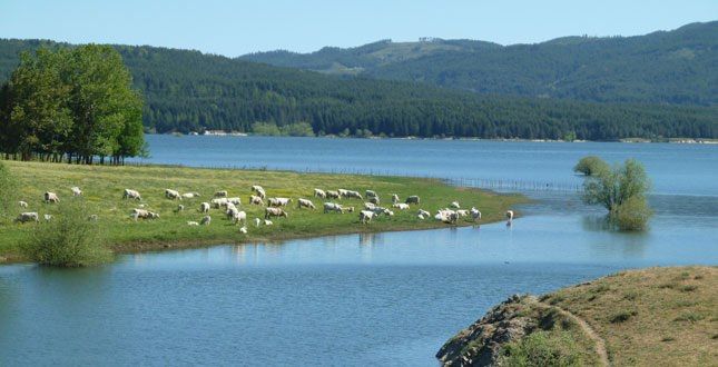 Appuntamento a Lorica per rilanciare la montagna