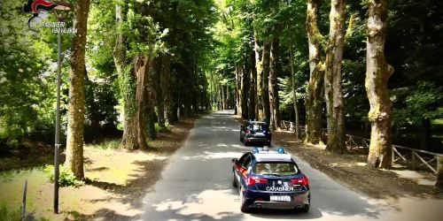 falsi-poveri-buoni-spesa-covid