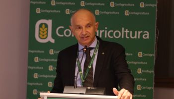 Dl Bollette, Confagricoltura: «A rischio la filiera della biomassa»
