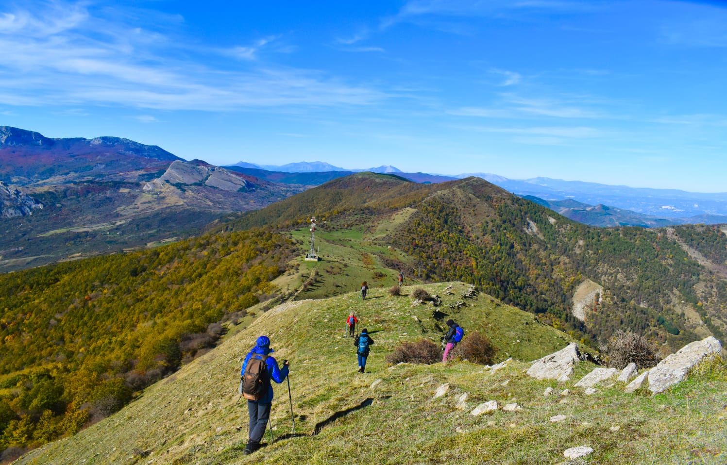Piccolo manifesto degli erranti: teneri, gioiosi, disadattati