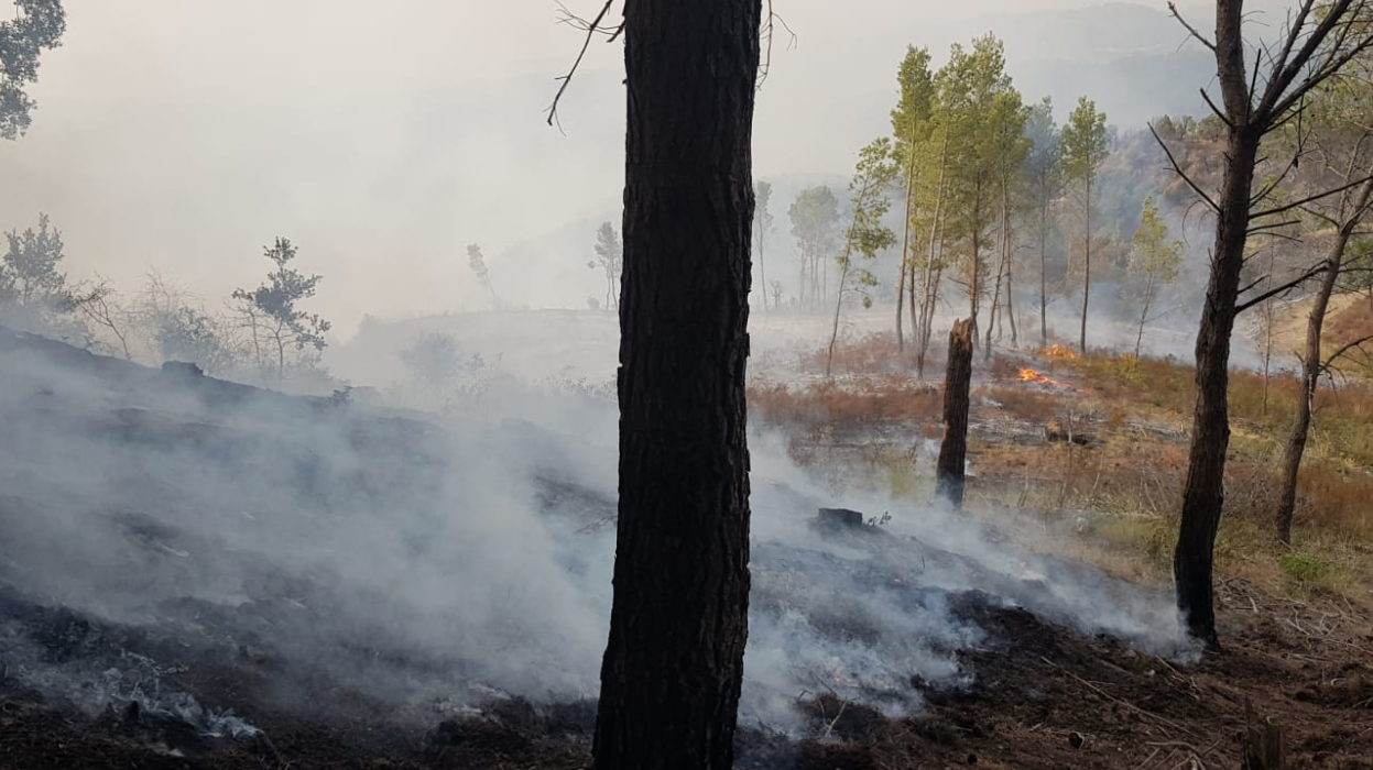 «Regione responsabile del disastro». Legambiente chiede un’indagine parlamentare sui roghi
