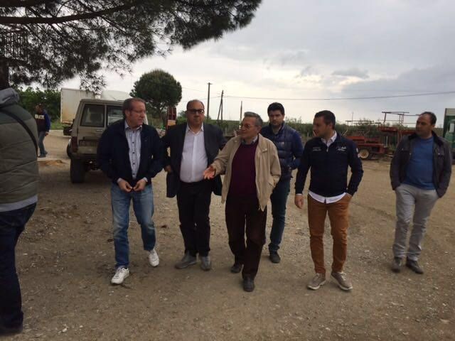 «I clan cercano di infiltrarsi nelle imprese agricole sane»