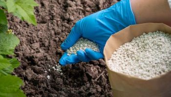 Fertilizzanti, Confagricoltura: «Aumenti eccessivi»