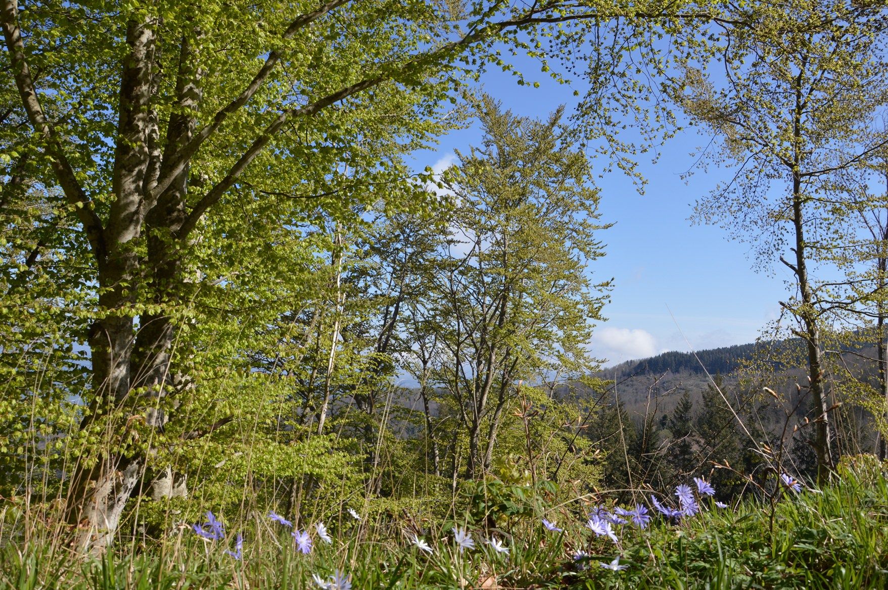 Al via da domani il nuovo Festival delle Erranze e della Filoxenia