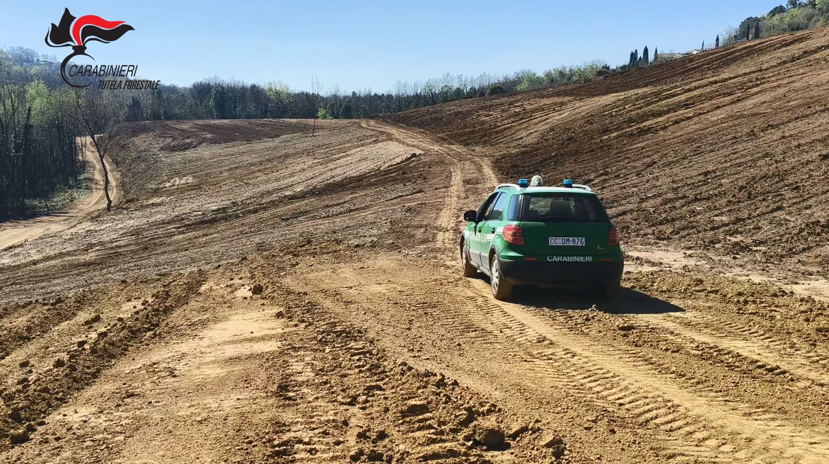 Bosco raso al suolo a Rende: sequestrati dieci ettari e maxi multa da quasi 490 mila euro – VIDEO