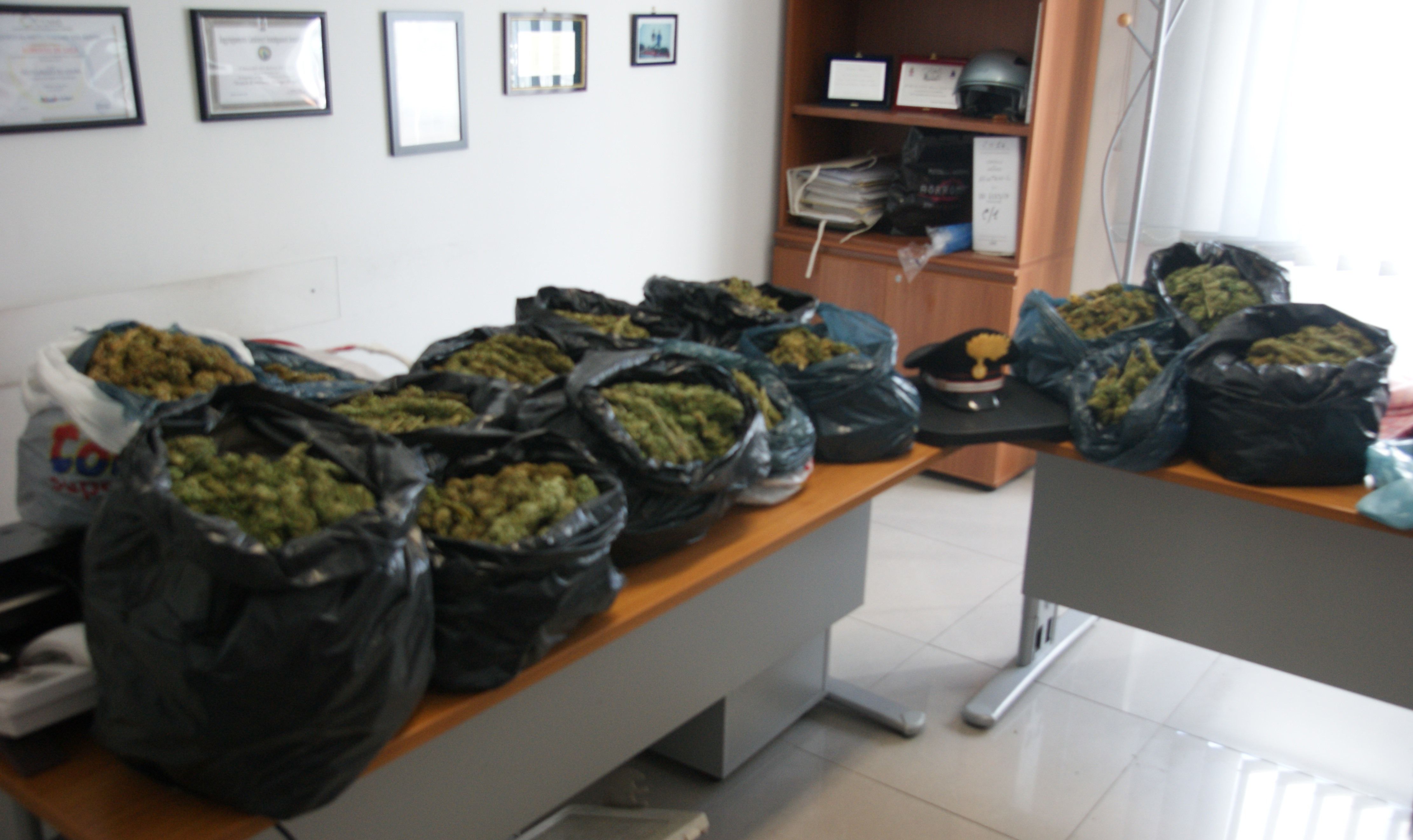 Rende, sequestrati 16 chili di marijuana