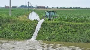 Coldiretti: noi abbiamo avviato la vera riforma dei Consorzi