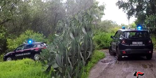 Foto Op Saggio Compagno(6)