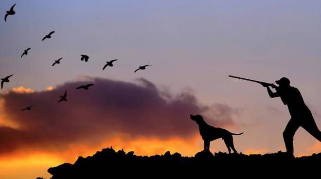 Caccia, Legambiente e Lipu vincono il ricorso e il Tar sospende il calendario venatorio