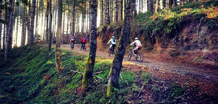 In sella alla bici per conoscere il Tirreno cosentino