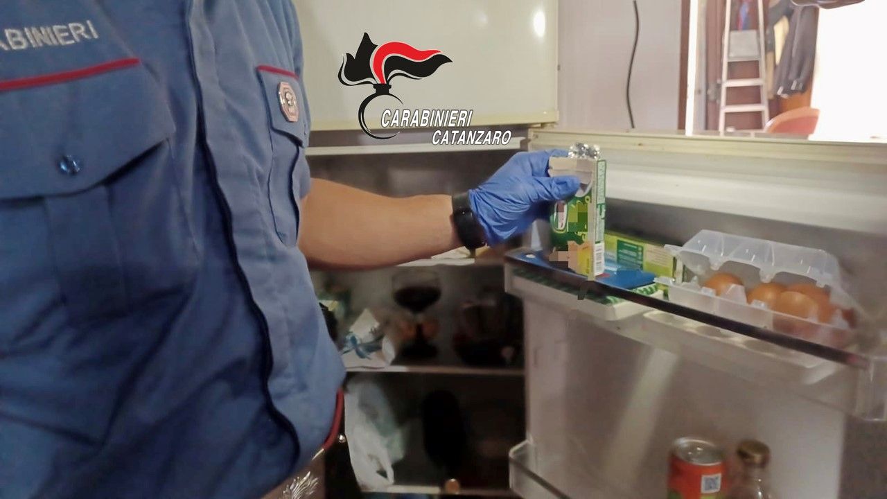 Nascondeva la droga nelle confezioni di dadi per brodo, 59enne ai domiciliari nel Catanzarese